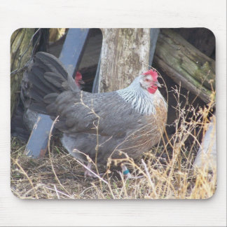 Free Range Silver Grey Dorking Hen Mouse Pad