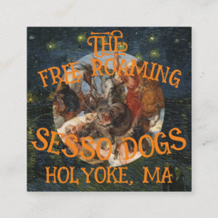 FREE ROAMING SESSO DOGS HOLYOKEMA MASSUCHUSETTS ENCLOSURE CARD