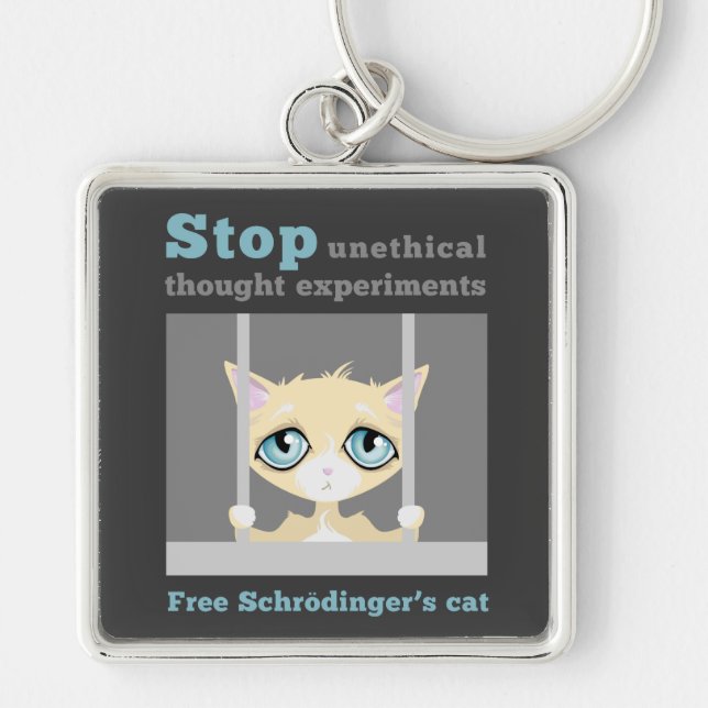 Free Schrodinger's Cat Key Ring (Front)