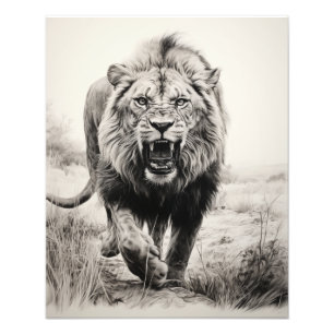 Free Spirit Lion Black and White Photo Print