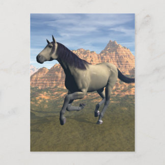 Free Spirit Postcard