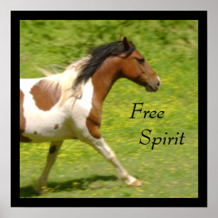 Free Spirit Poster