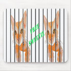 Free Sweetie Jail Kitten Cat Mug