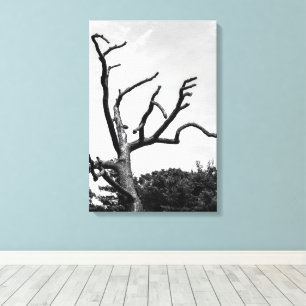 free tree canvas print