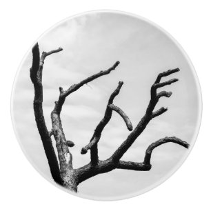free tree ceramic knob