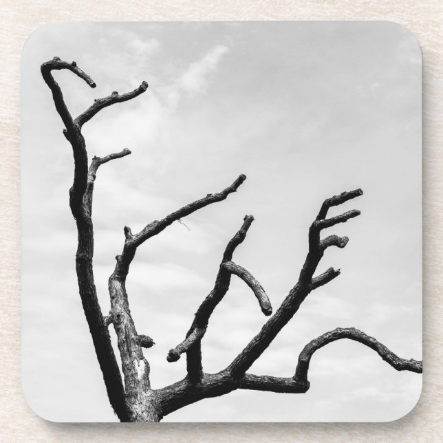 free tree coaster (Front)