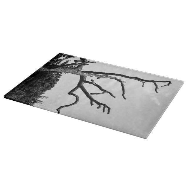 free tree cutting board (Corner)