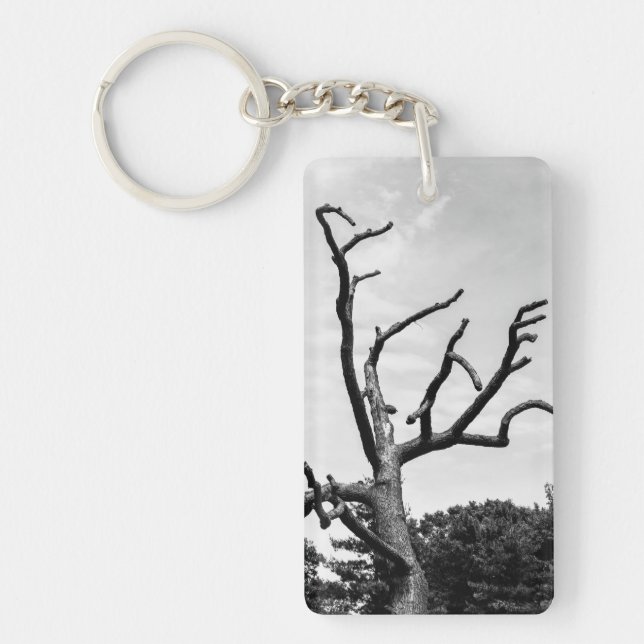 free tree key ring (Front)