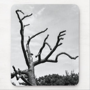 free tree mouse pad