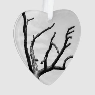 free tree ornament