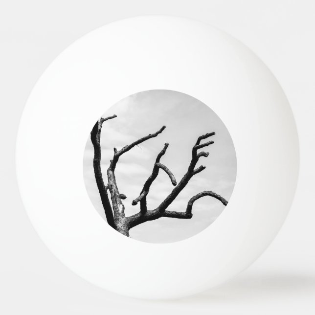 free tree ping pong ball (Front)