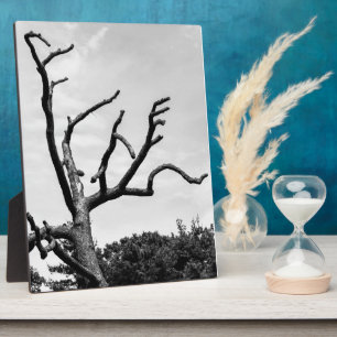 free tree plaque