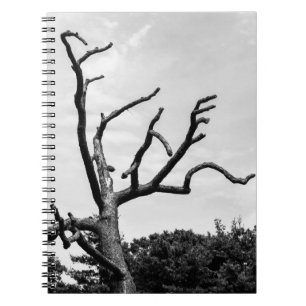 free tree spiral notebook