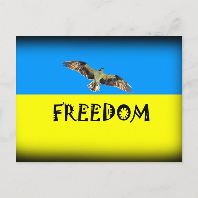 Free Ukraine  Print Postcard (Front)