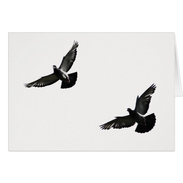 freedom (Front Horizontal)