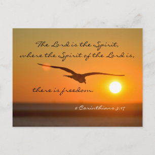 Freedom Bible Verse, Bird Flying at Sunset Custom Postcard