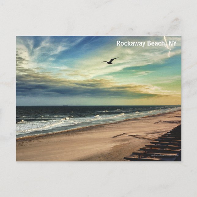 Freedom Bird Postcard (Front)