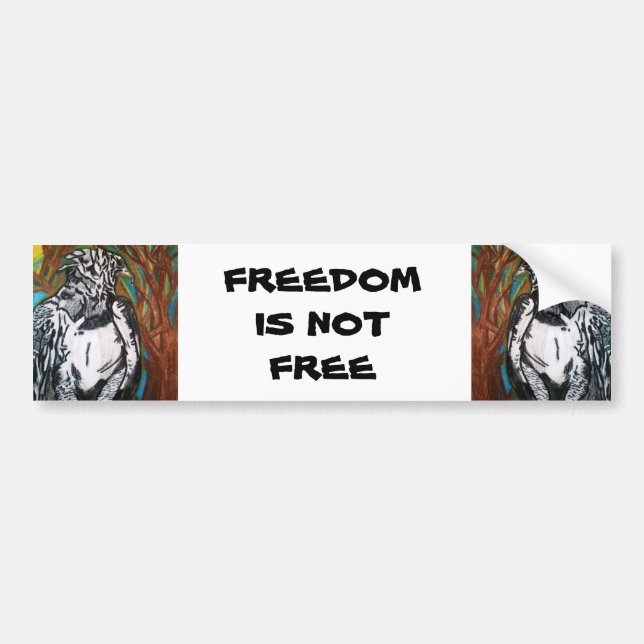 FREEDOM bumper sticker (Front)