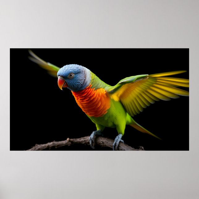 🌈 Freedom Flight Lorikeet - Dynamic Rainbow Poster (Front)