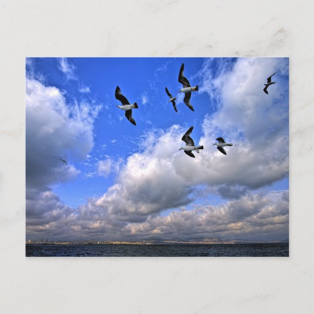 Freedom Flying Threw Our Wings Postcard (Front)