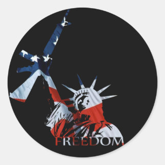 Freedom - Got guns? (Large Dark) Classic Round Sticker