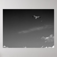 Freedom in BW