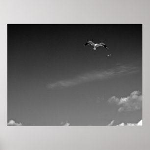 Freedom in BW Poster