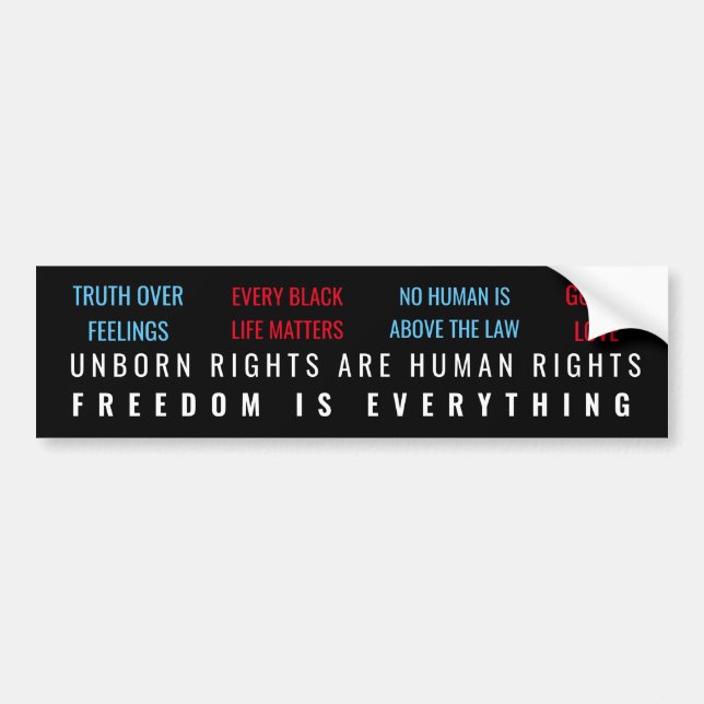 Freedom is Everything Bumper Sticker (Front)