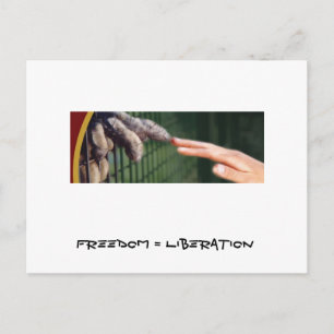 Freedom = Liberation Postcard