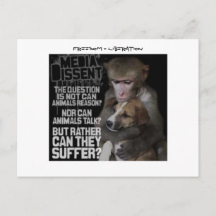 Freedom = Liberation Postcard