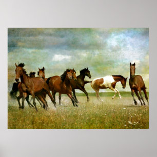 Freedom motivational artworks - Running horses ins Poster