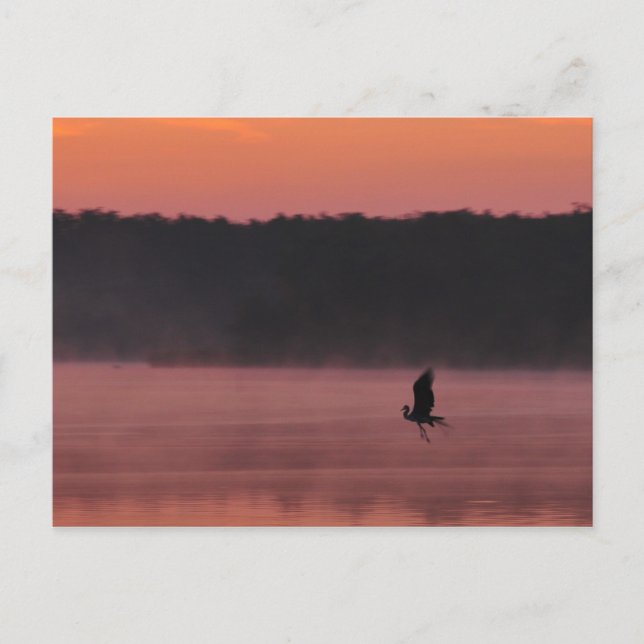 Freedom Postcard (Front)