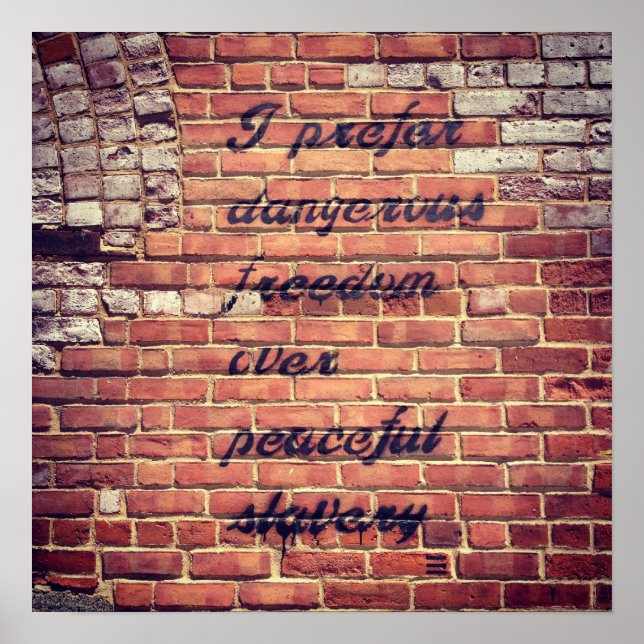 Freedom Poster (Front)