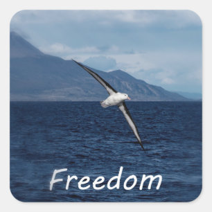 Freedom to wander the ocean square sticker