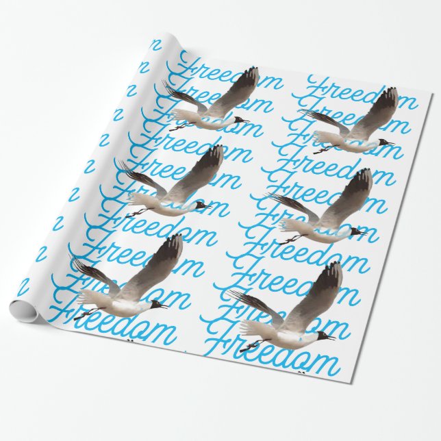 Freedom Wrapping Paper (Unrolled)