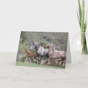 Freedom's Run II: Galloping to Freedom Greeting Card