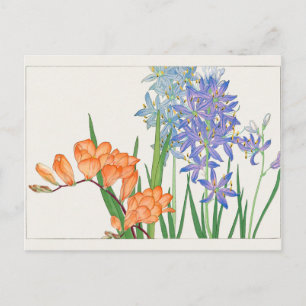 Freesia, African lily by Tanigami Konan Postcard