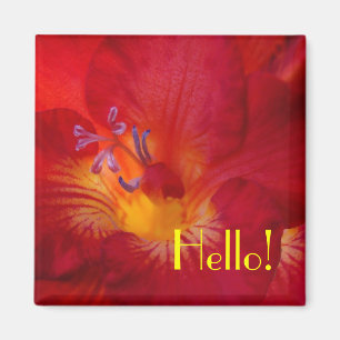 Freesia Hello! Magnet