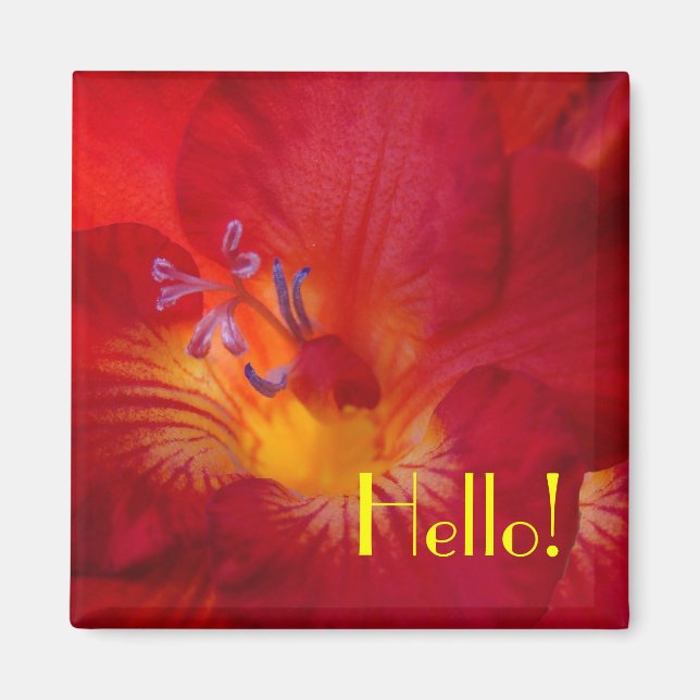 Freesia Hello! Magnet (Front)