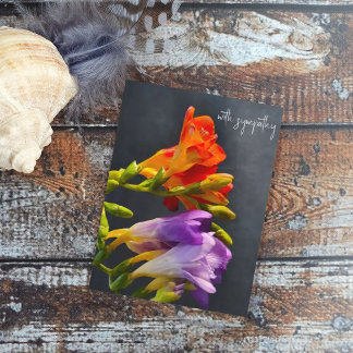 Freesia in a dark background. With Sympathy Postcard