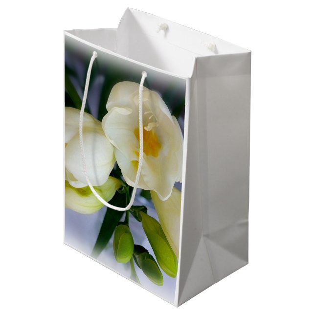 freesia, white, yellow, effect, brush, dry, petal, medium gift bag (Front Angled)