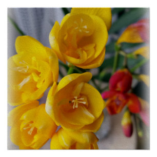 freesias bouquet poster