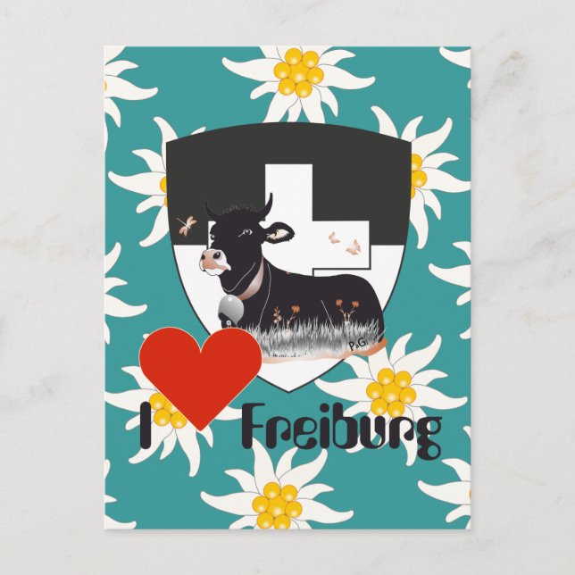 Freiburg / Fribourg Schweiz Suisse Postkarte Postcard (Front)