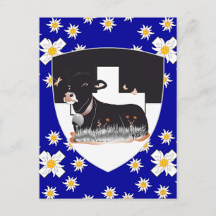 Freiburg / Fribourg Schweiz Suisse Postkarte Postcard