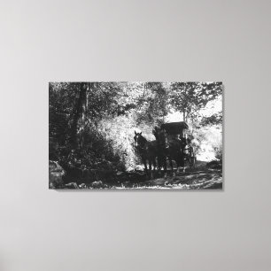 Freight Horses Taking a Break Canvas Print