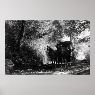 Freight Horses Taking a Break Poster