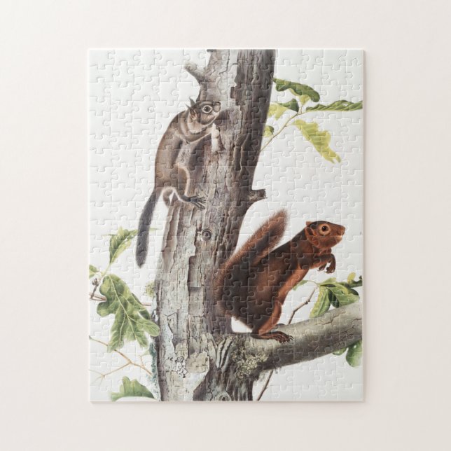 Fremont's Squirrel and Sooty Squirrel Illustration Jigsaw Puzzle (Vertical)