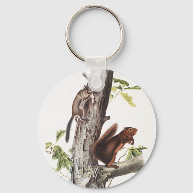 Fremont's Squirrel and Sooty Squirrel Illustration Key Ring (Front)