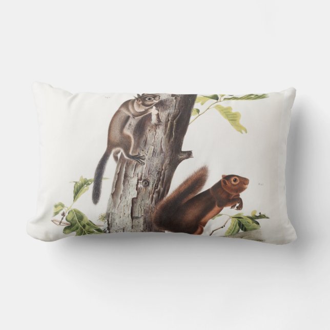Fremont's Squirrel and Sooty Squirrel Illustration Lumbar Cushion (Front)
