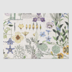 French Art Nouveau Poppy Flowers Tissue Paper